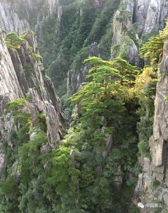 兰博基尼填颜色
